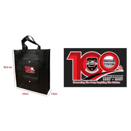 Foldable Practical Bag